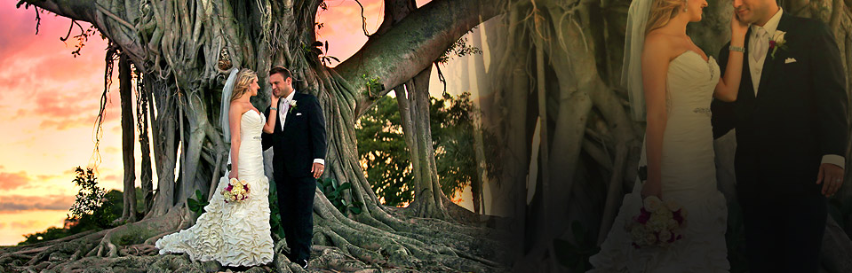 Wedding Photography